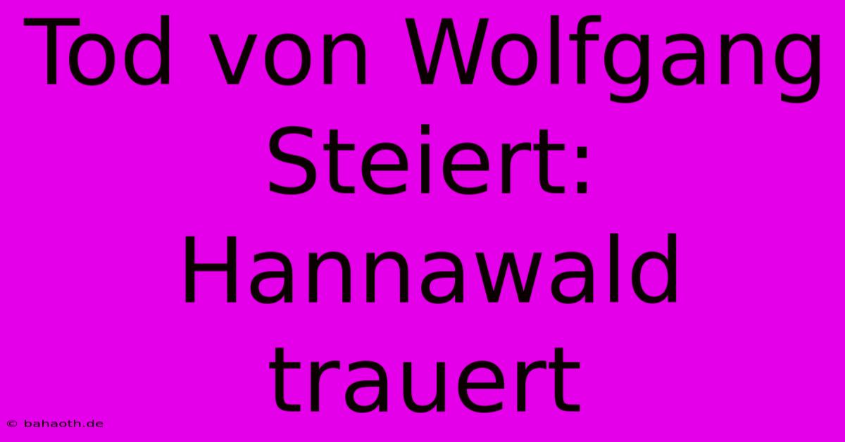 Tod Von Wolfgang Steiert: Hannawald Trauert