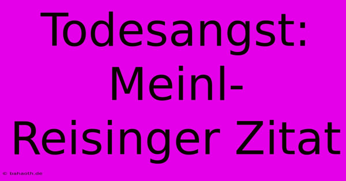 Todesangst:  Meinl-Reisinger Zitat