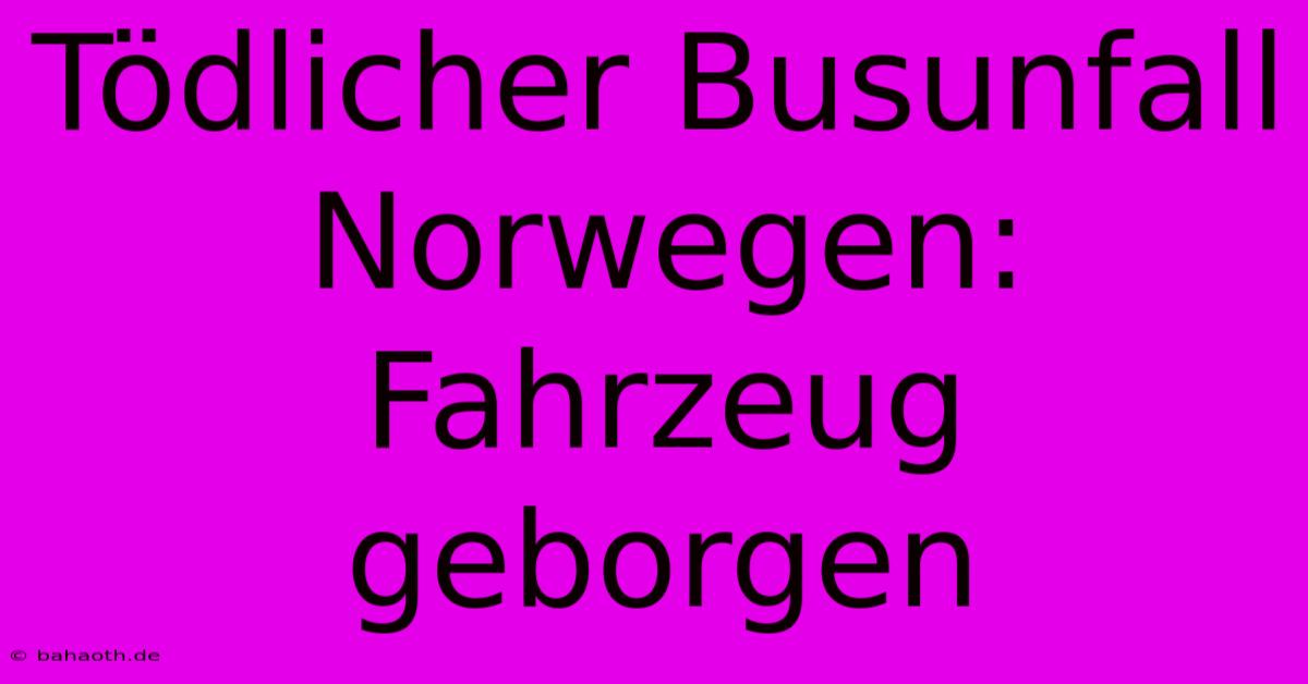 Tödlicher Busunfall Norwegen: Fahrzeug Geborgen