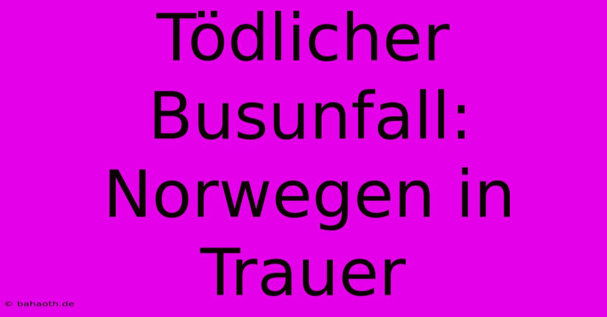 Tödlicher Busunfall: Norwegen In Trauer