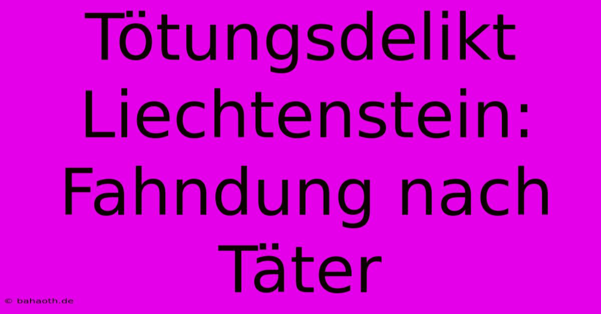 Tötungsdelikt Liechtenstein: Fahndung Nach Täter