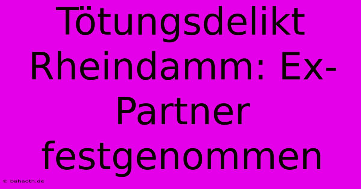 Tötungsdelikt Rheindamm: Ex-Partner Festgenommen