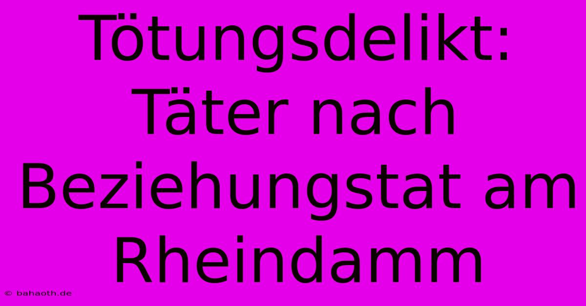 Tötungsdelikt: Täter Nach Beziehungstat Am Rheindamm