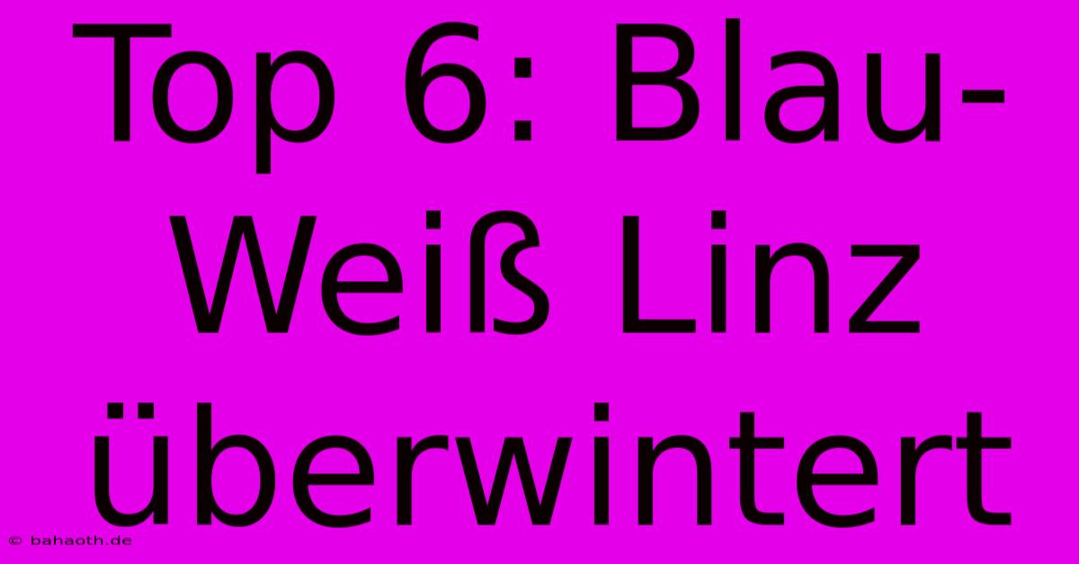 Top 6: Blau-Weiß Linz Überwintert