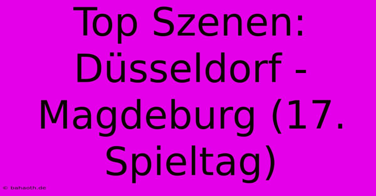 Top Szenen: Düsseldorf - Magdeburg (17. Spieltag)