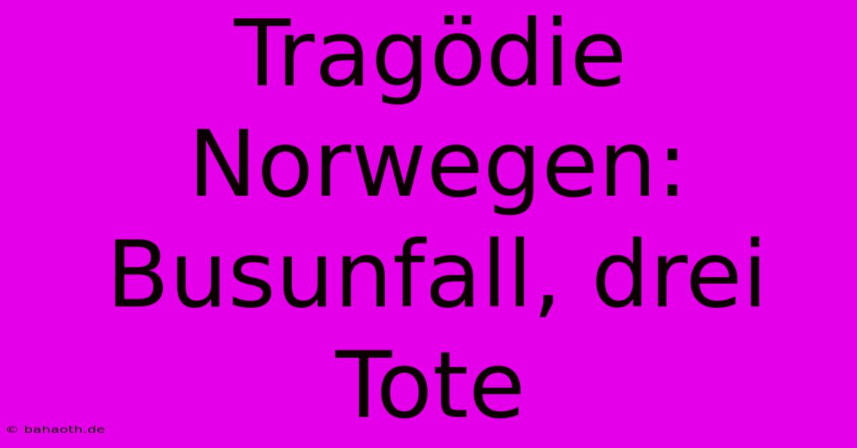 Tragödie Norwegen: Busunfall, Drei Tote