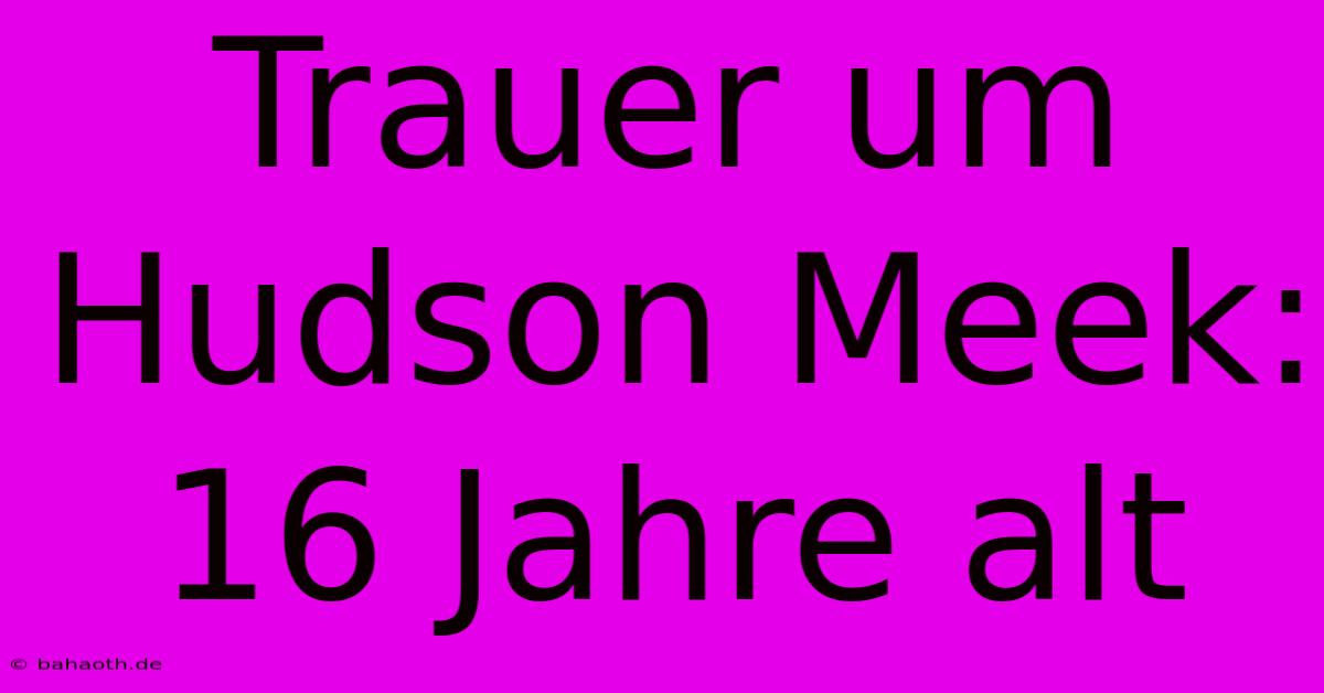 Trauer Um Hudson Meek: 16 Jahre Alt