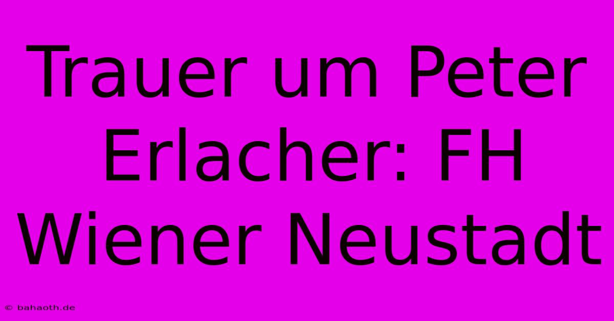 Trauer Um Peter Erlacher: FH Wiener Neustadt