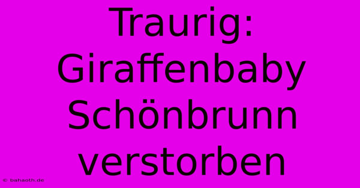 Traurig: Giraffenbaby Schönbrunn Verstorben