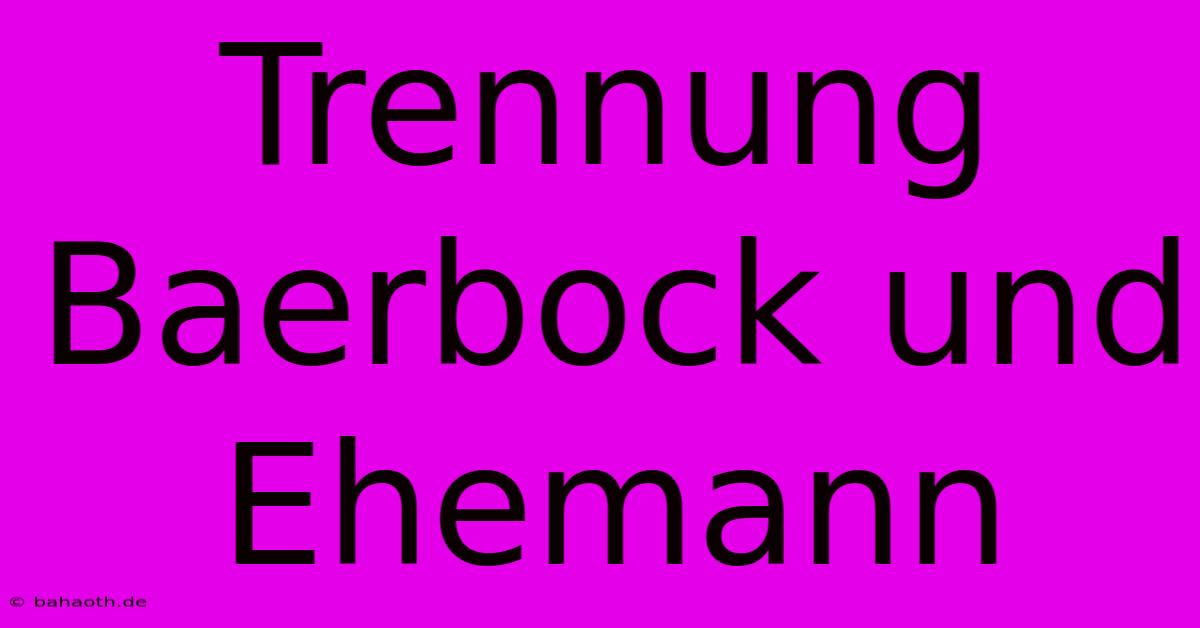 Trennung Baerbock Und Ehemann