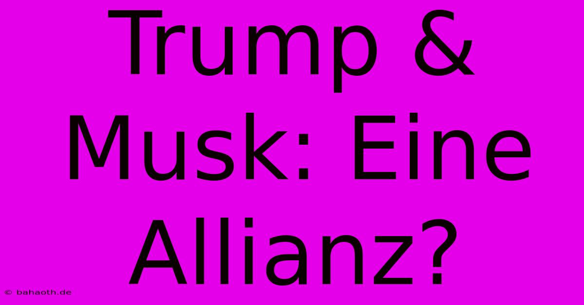 Trump & Musk: Eine Allianz?