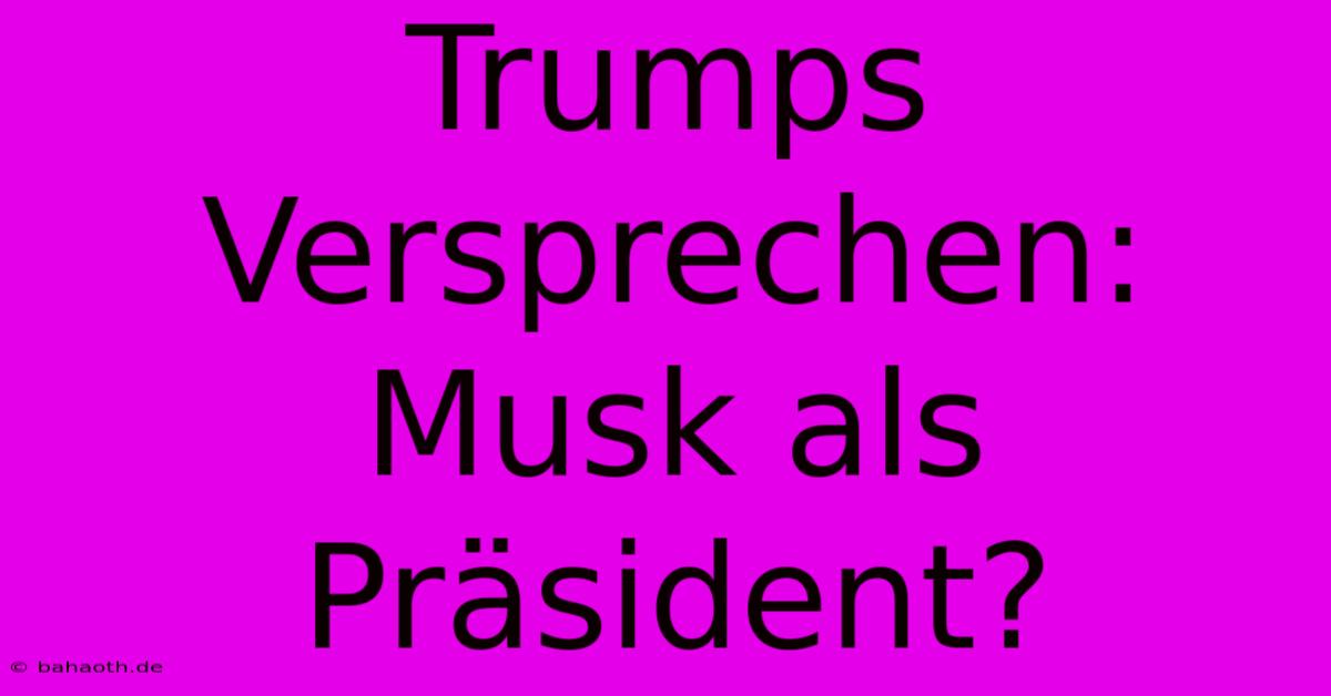 Trumps Versprechen: Musk Als Präsident?