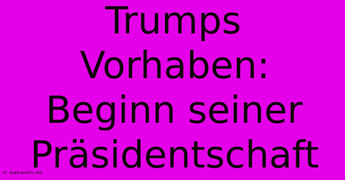 Trumps  Vorhaben:  Beginn Seiner Präsidentschaft