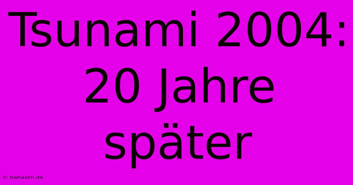 Tsunami 2004: 20 Jahre Später