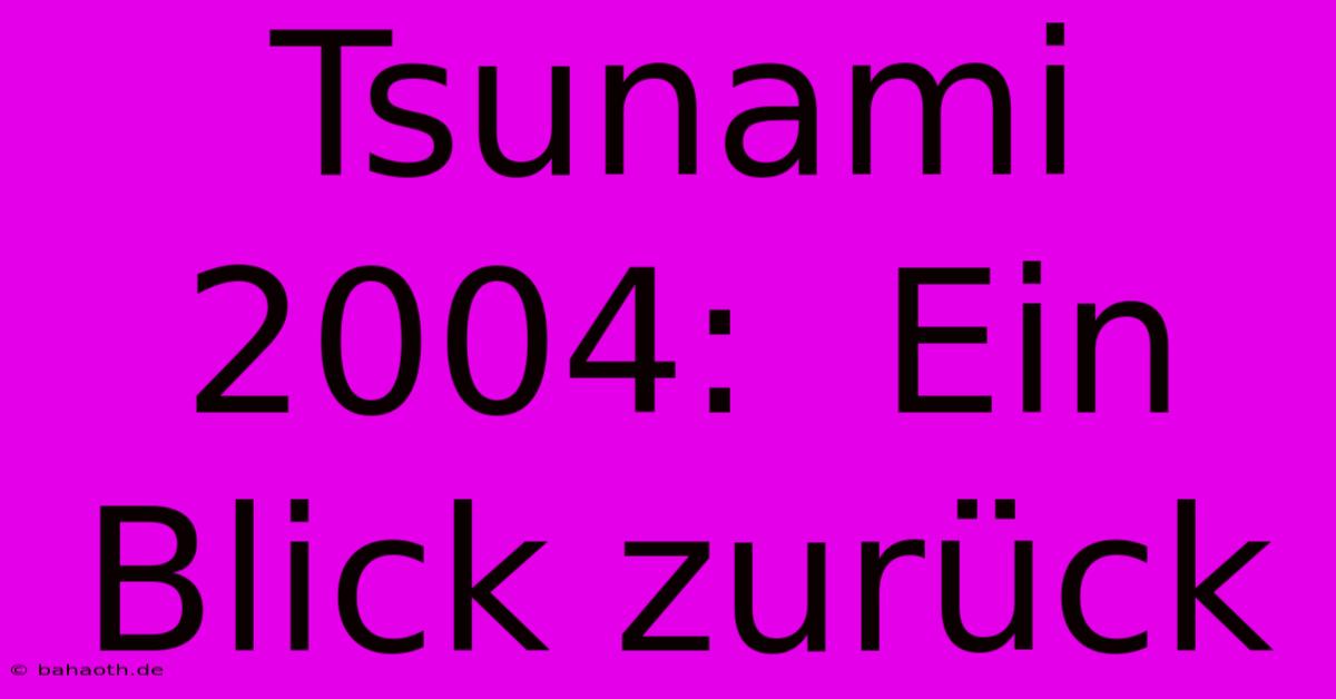 Tsunami 2004:  Ein Blick Zurück