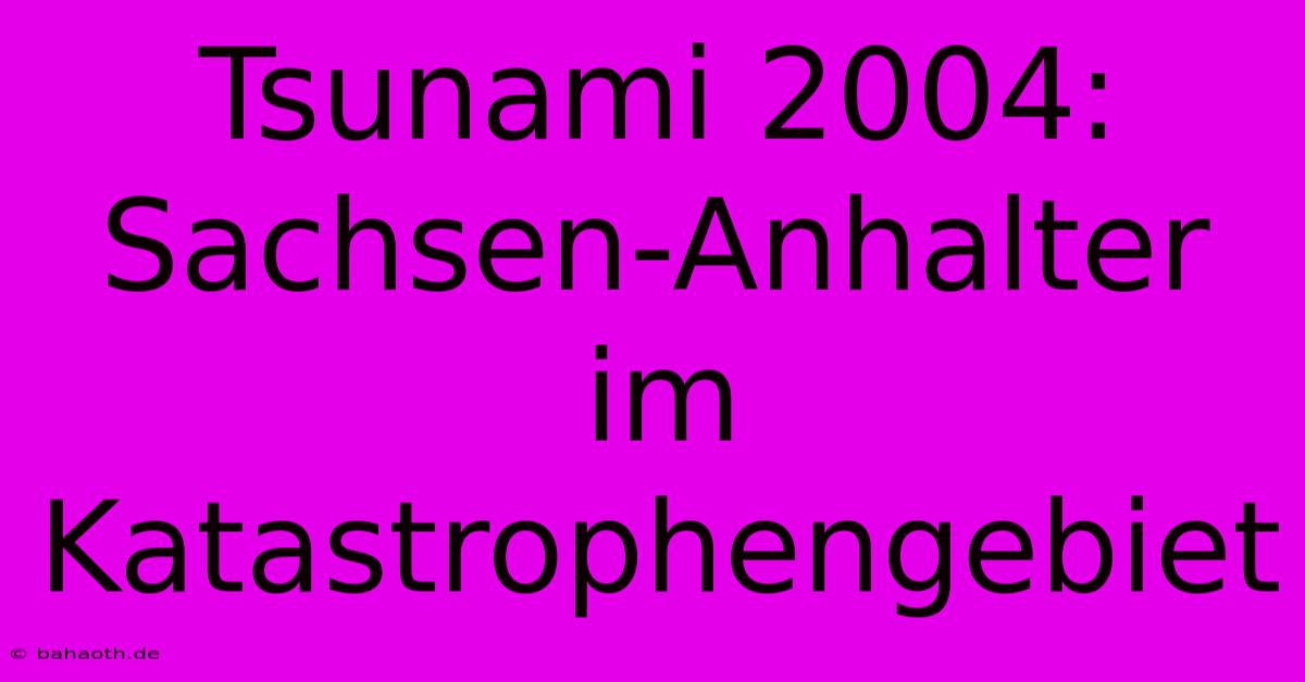 Tsunami 2004: Sachsen-Anhalter Im Katastrophengebiet