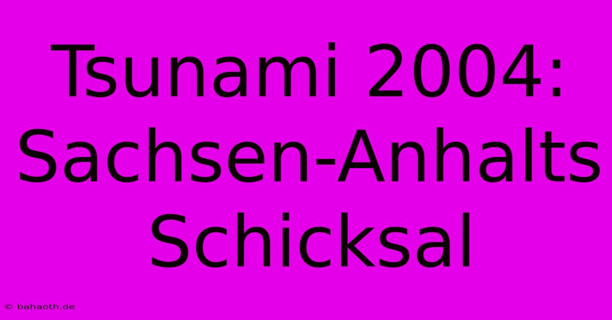 Tsunami 2004: Sachsen-Anhalts Schicksal