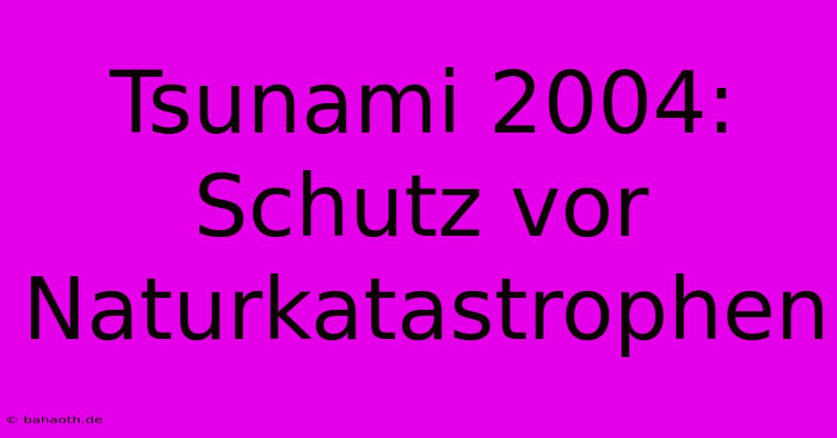 Tsunami 2004:  Schutz Vor Naturkatastrophen