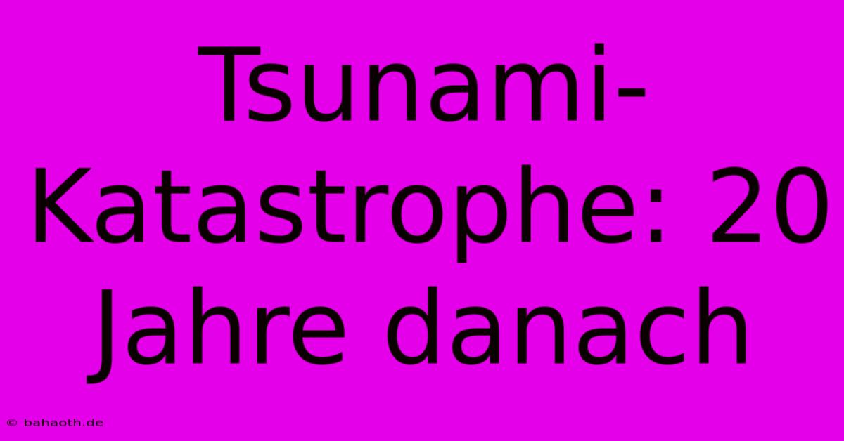 Tsunami-Katastrophe: 20 Jahre Danach