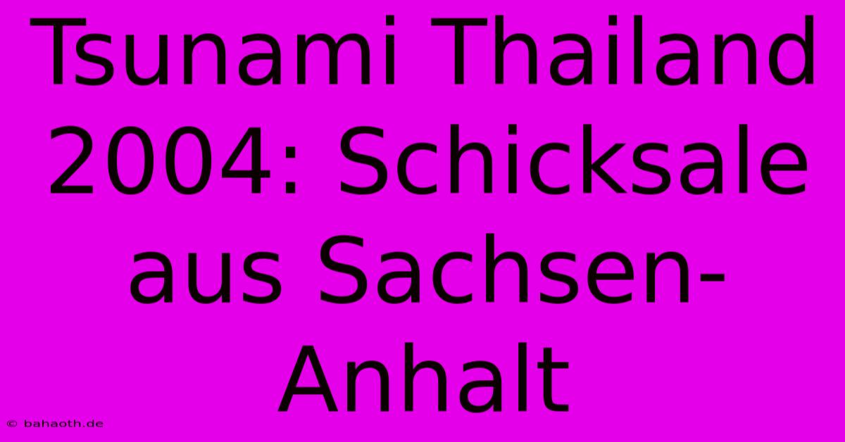 Tsunami Thailand 2004: Schicksale Aus Sachsen-Anhalt