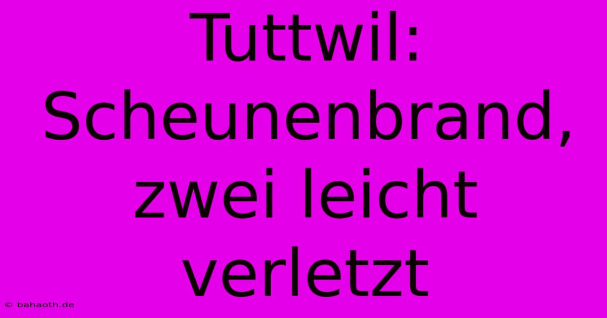 Tuttwil: Scheunenbrand, Zwei Leicht Verletzt