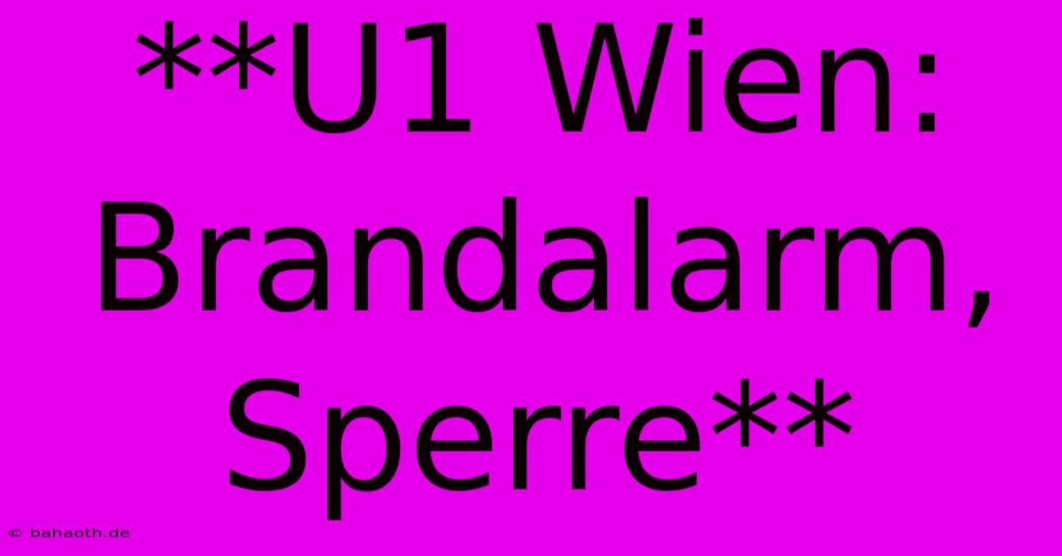 **U1 Wien: Brandalarm, Sperre**