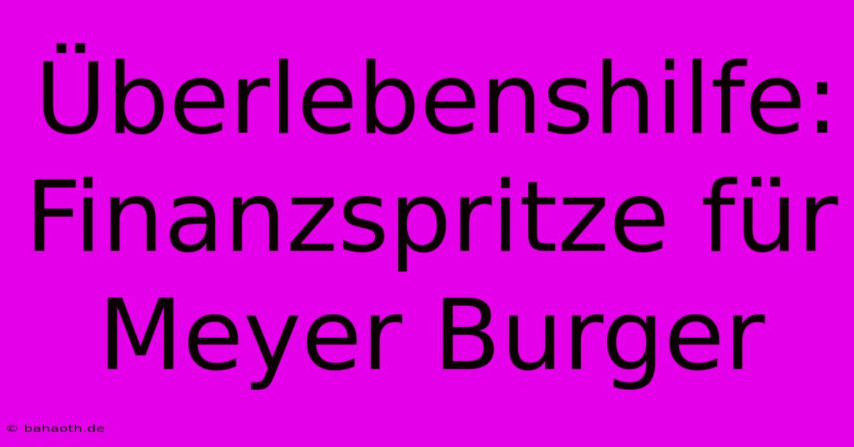 Überlebenshilfe: Finanzspritze Für Meyer Burger