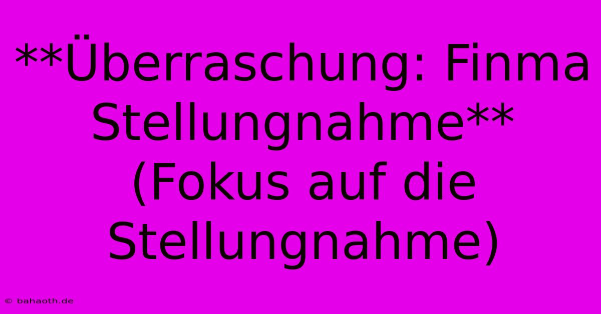 **Überraschung: Finma Stellungnahme** (Fokus Auf Die Stellungnahme)