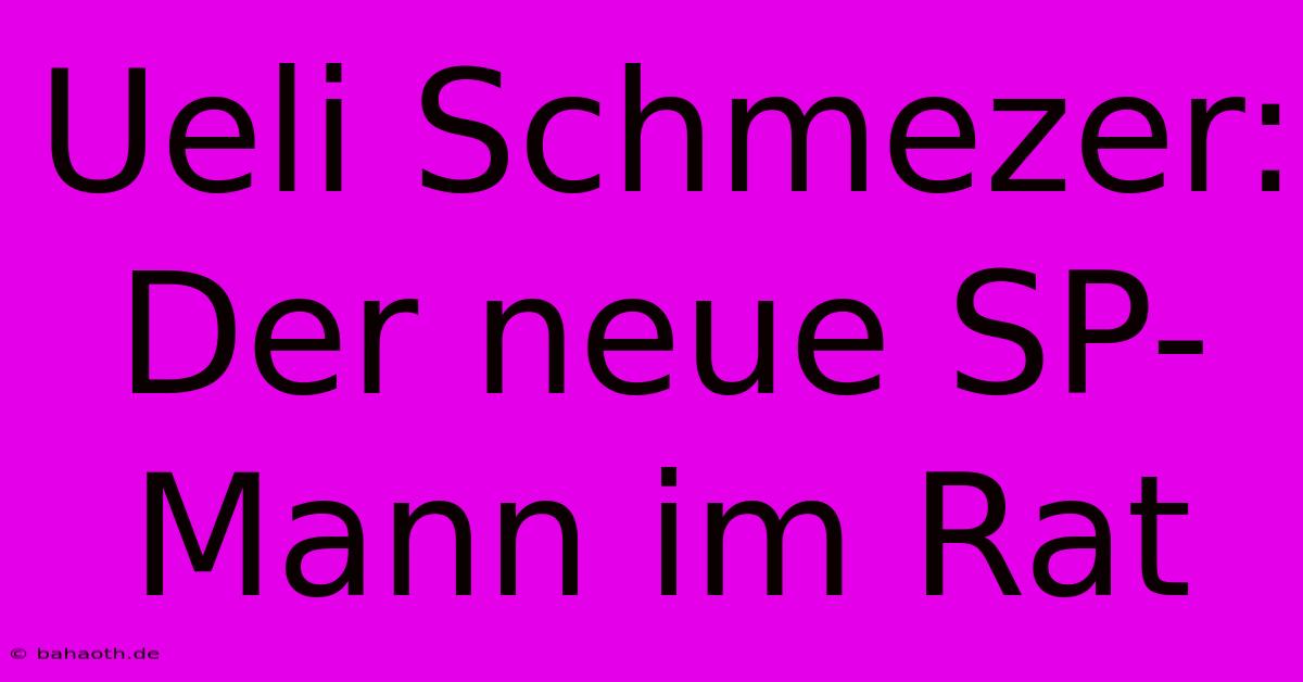 Ueli Schmezer: Der Neue SP-Mann Im Rat