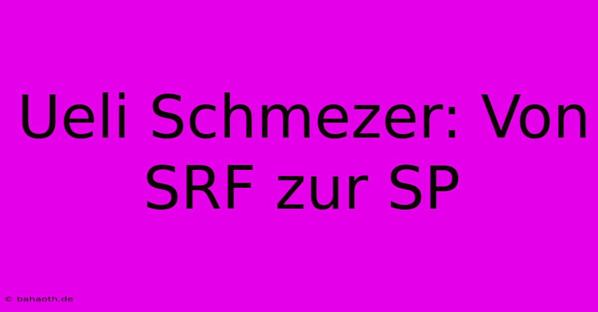 Ueli Schmezer: Von SRF Zur SP