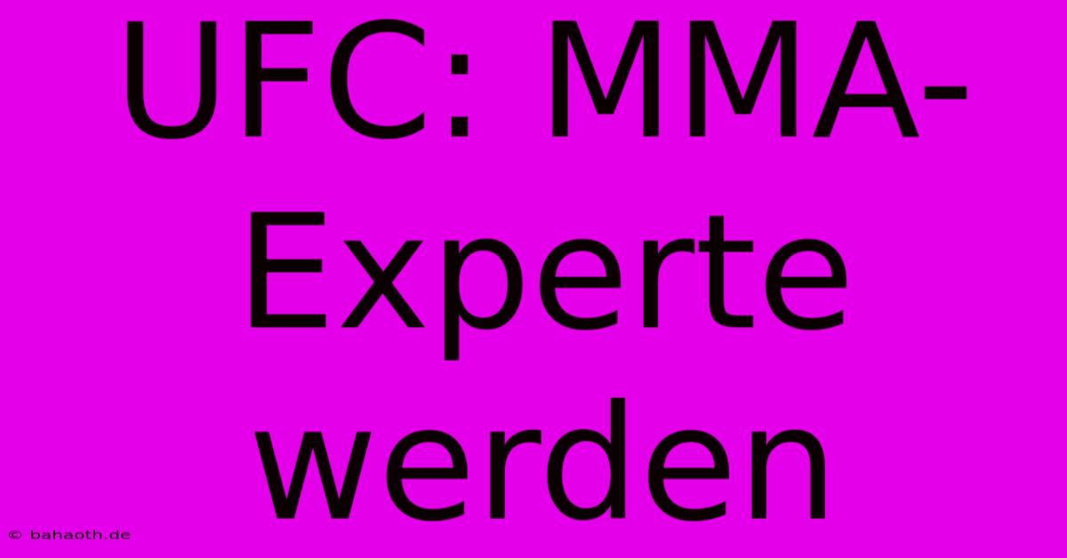 UFC: MMA-Experte Werden