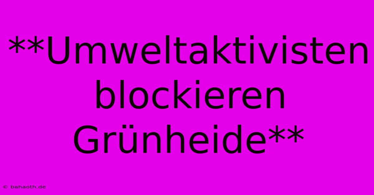 **Umweltaktivisten Blockieren Grünheide**