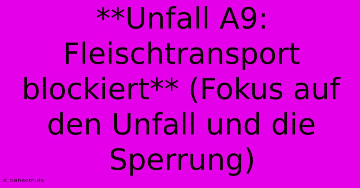 **Unfall A9: Fleischtransport Blockiert** (Fokus Auf Den Unfall Und Die Sperrung)