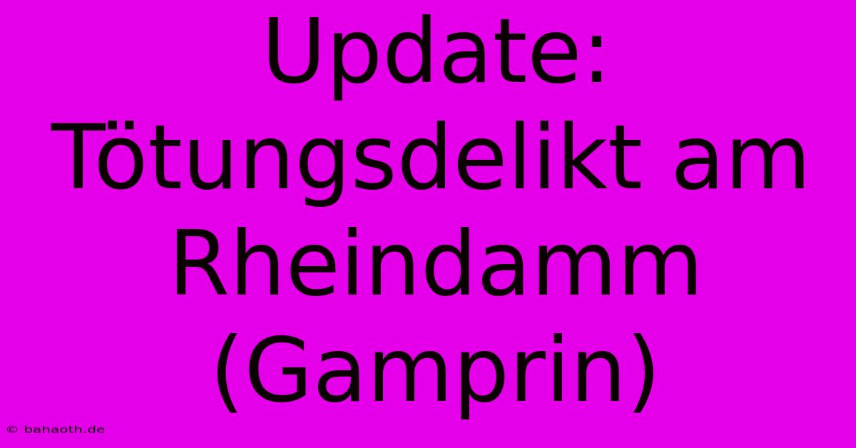 Update: Tötungsdelikt Am Rheindamm (Gamprin)