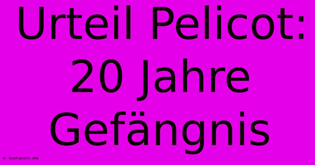 Urteil Pelicot: 20 Jahre Gefängnis