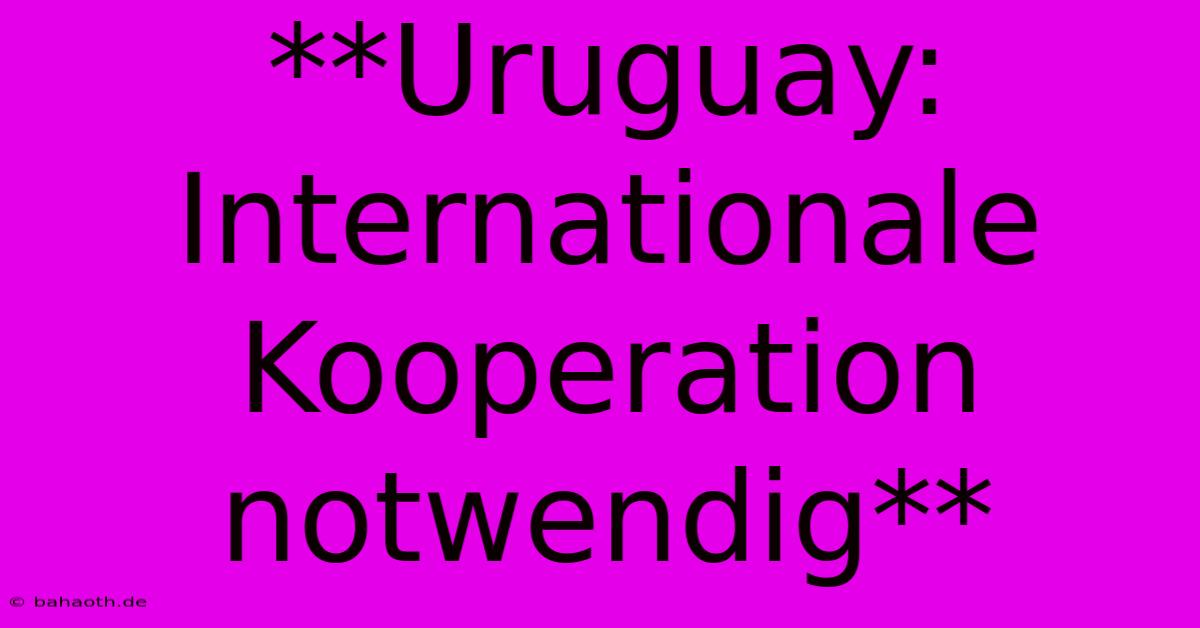 **Uruguay: Internationale Kooperation Notwendig**