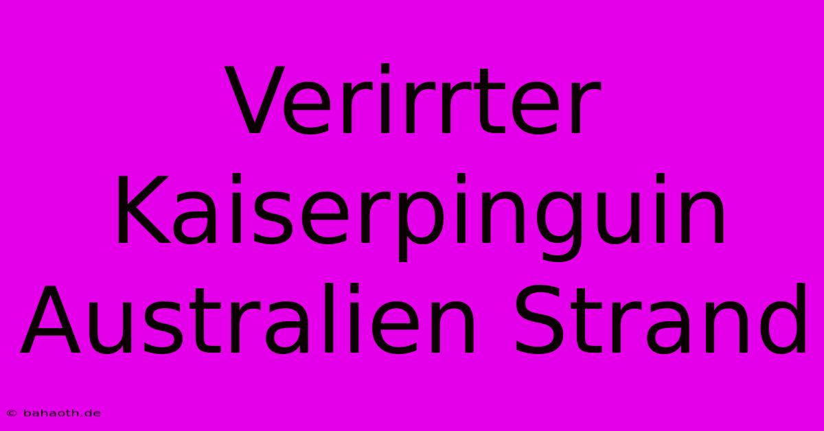 Verirrter Kaiserpinguin Australien Strand