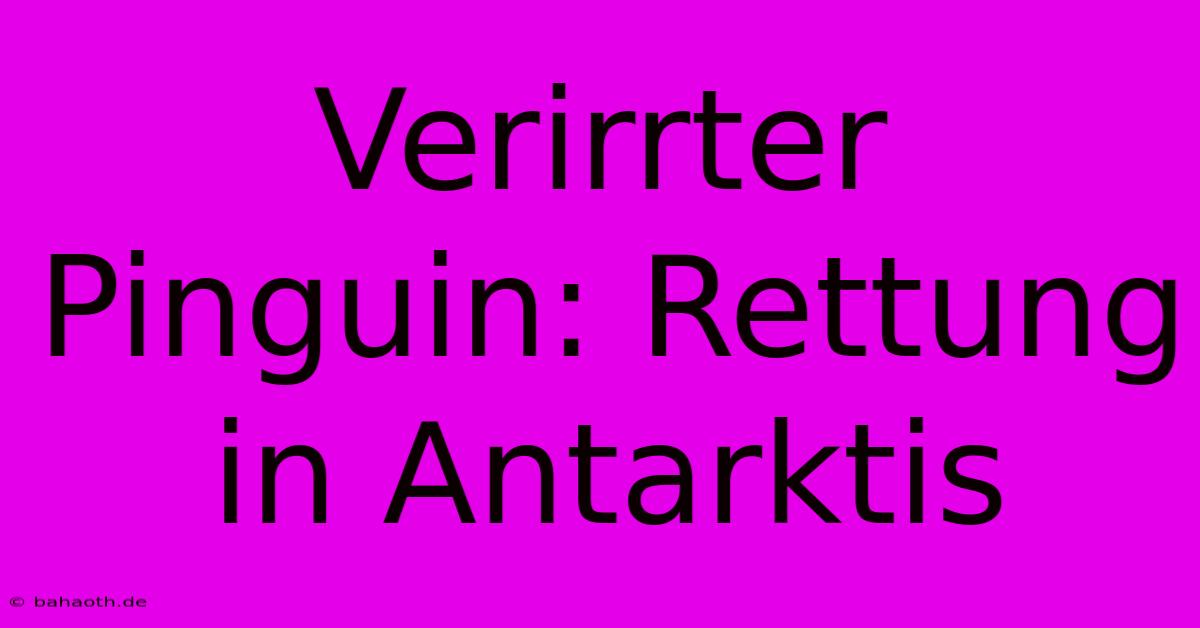 Verirrter Pinguin: Rettung In Antarktis