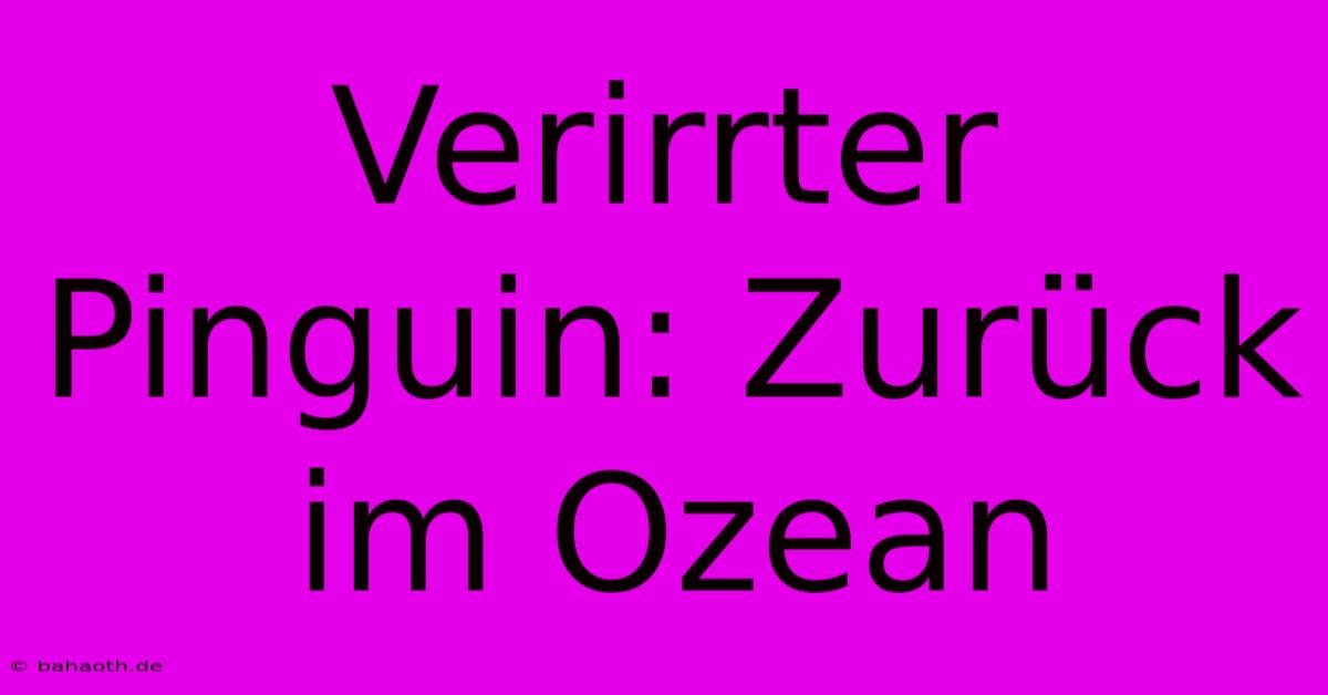 Verirrter Pinguin: Zurück Im Ozean