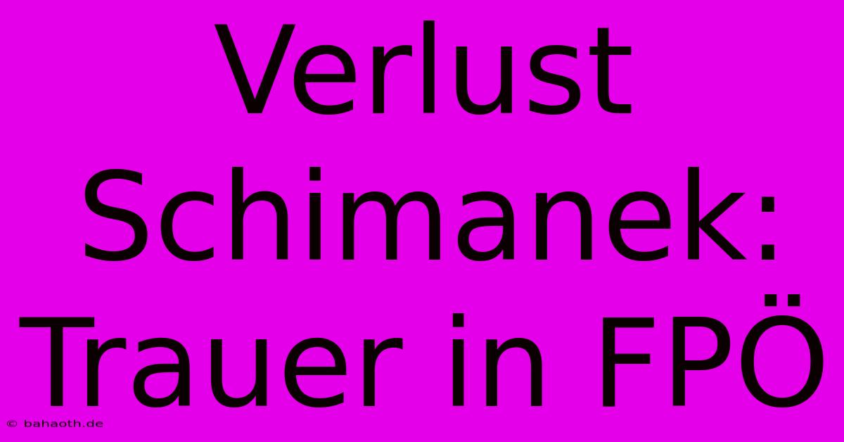 Verlust Schimanek: Trauer In FPÖ