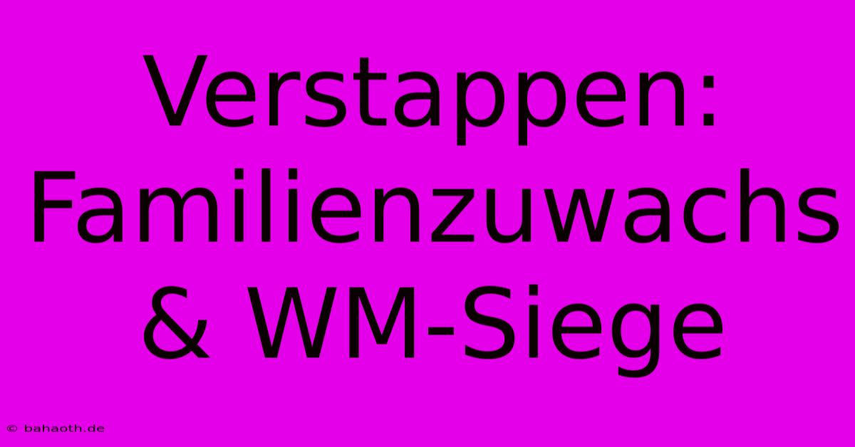 Verstappen: Familienzuwachs & WM-Siege