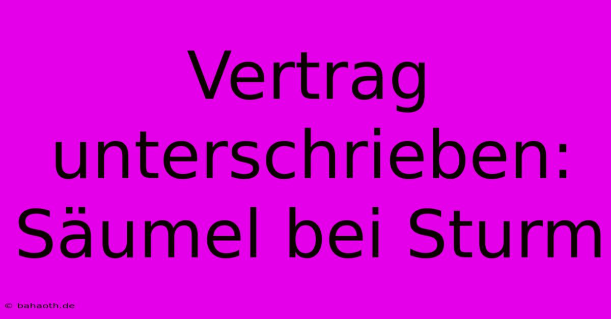 Vertrag Unterschrieben: Säumel Bei Sturm