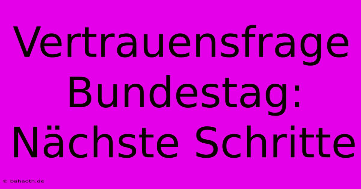 Vertrauensfrage Bundestag:  Nächste Schritte