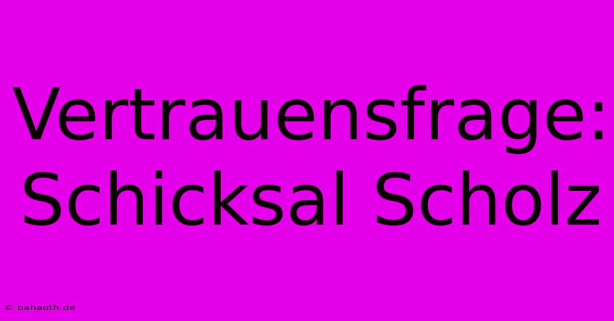 Vertrauensfrage: Schicksal Scholz