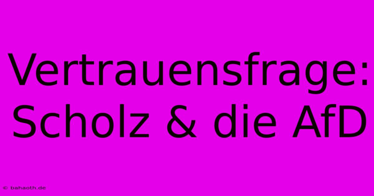 Vertrauensfrage:  Scholz & Die AfD