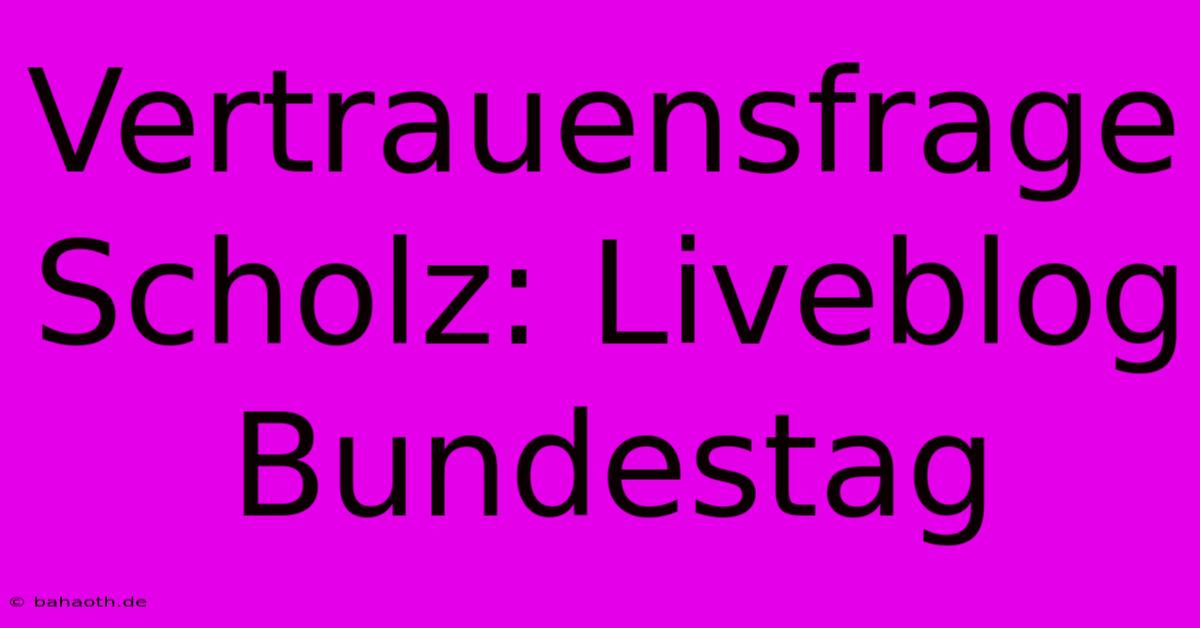 Vertrauensfrage Scholz: Liveblog Bundestag