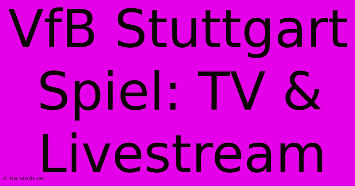 VfB Stuttgart Spiel: TV & Livestream