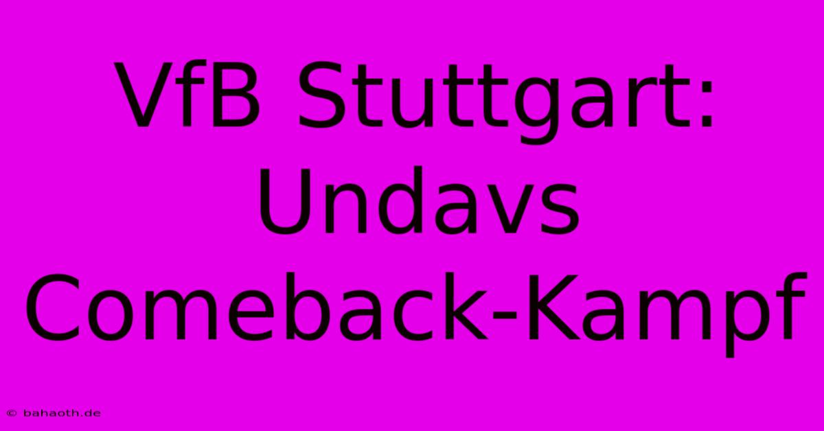 VfB Stuttgart: Undavs Comeback-Kampf