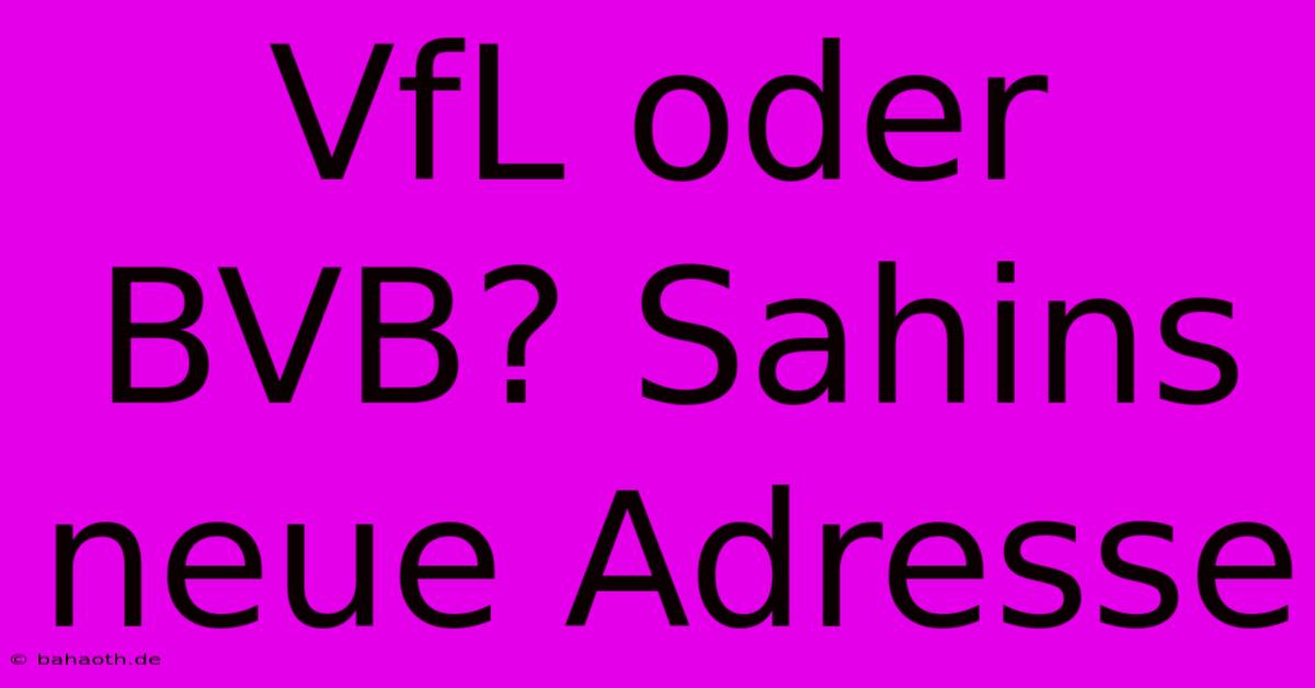 VfL Oder BVB? Sahins Neue Adresse