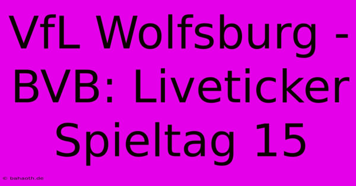 VfL Wolfsburg - BVB: Liveticker Spieltag 15